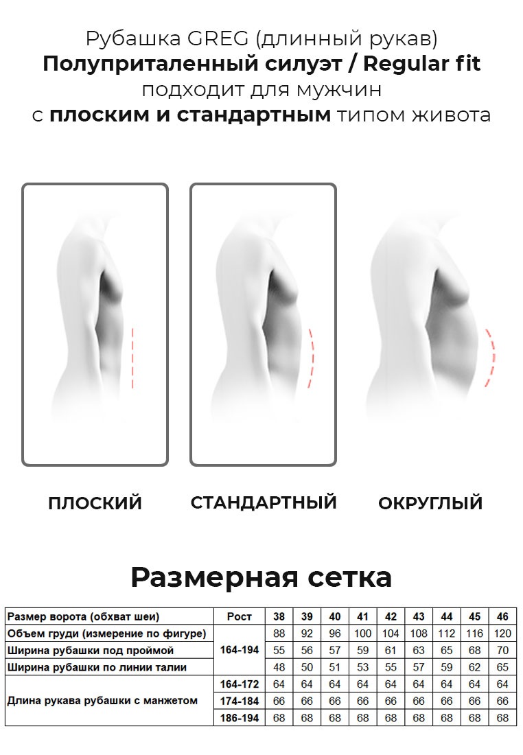 Сорочка мужская длинный рукав GREG 213/131/5577/Z/1p