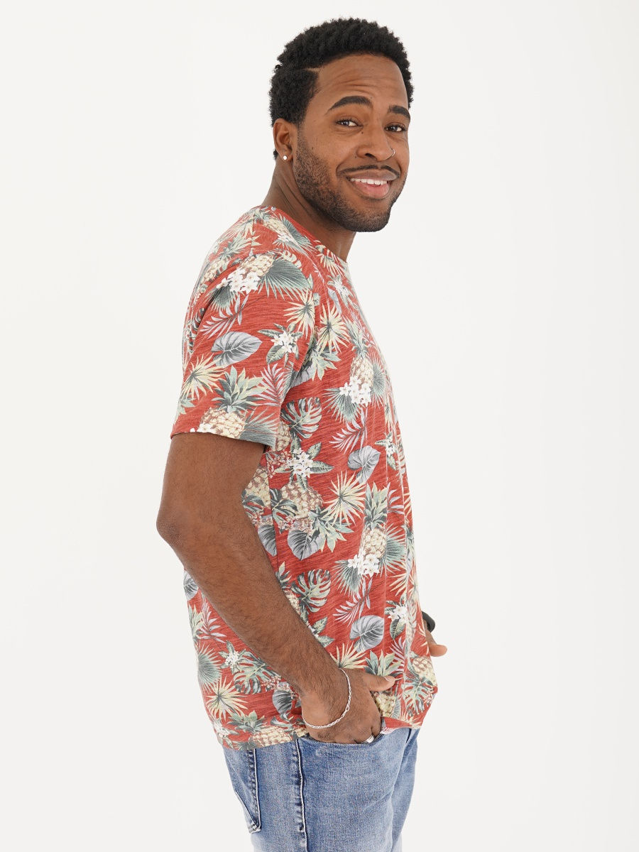 Футболка красного цвета с анасами