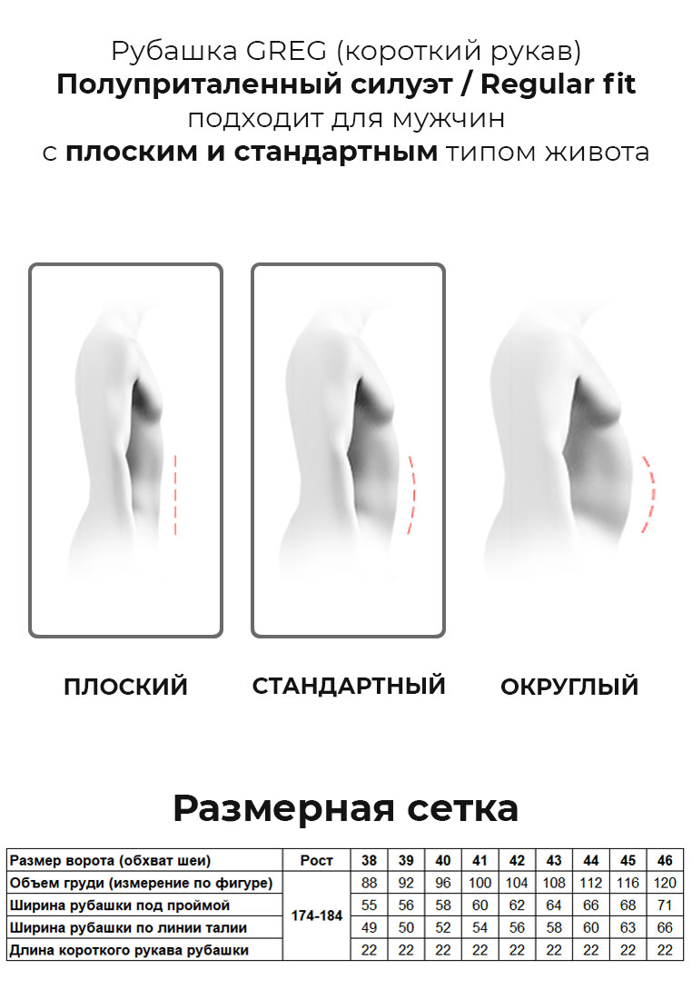 Сорочка мужская длинный рукав GREG 210/199/CL/Z_GB