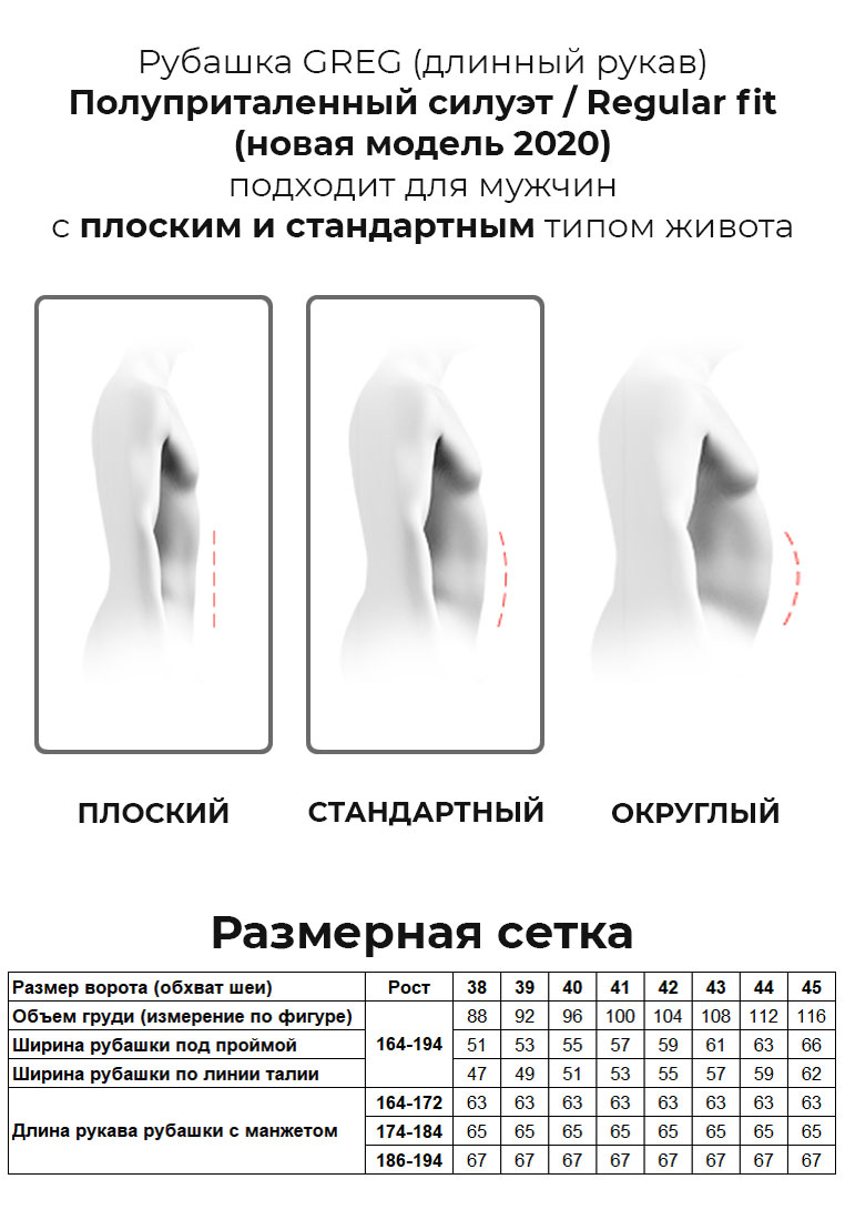 Сорочка мужская длинный рукав GREG 134/131/ROM/ZN/1p