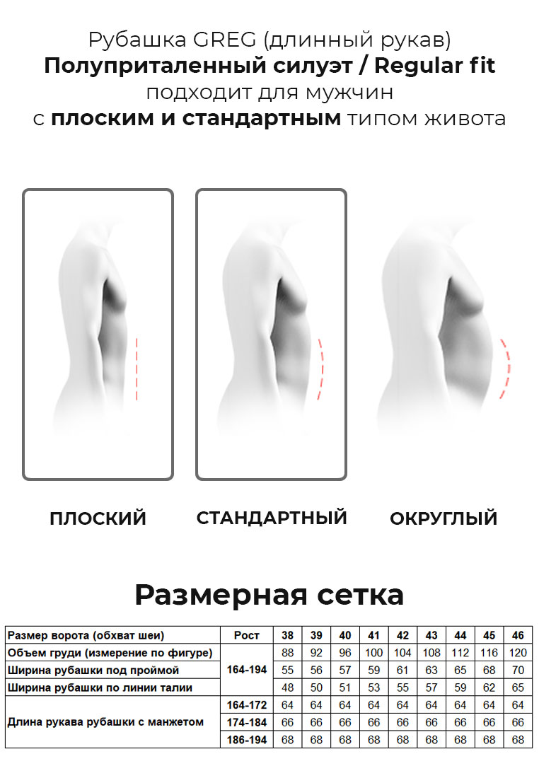 Сорочка мужская длинный рукав GREG 223/131/1695/Z/1p