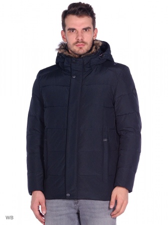 Куртка Dsgdong мужская зимняя 15780321