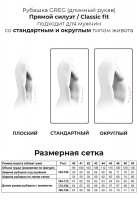 Сорочка мужская длинный рукав GREG 510/399/ALT