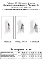Сорочка мужская длинный рукав GREG 210/199/CL/Z_GB