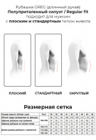 Сорочка мужская длинный рукав GREG 323/131/1493/Z/b/1p