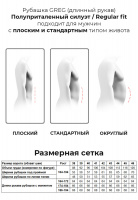 Сорочка мужская длинный рукав GREG 221/131/7337/Z/1p