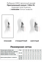 Сорочка мужская длинный рукав GREG 214/231/7308/ZV/1_GB