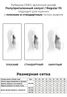 Сорочка мужская длинный рукав GREG 221/139/50013/Z/1p_GB