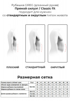 Сорочка мужская длинный рукав GREG 123/119/676_GB