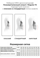 Сорочка мужская длинный рукав GREG 223/111/233/Z/1