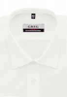 Сорочка мужская длинный рукав GREG 510/399/ALT/ZV